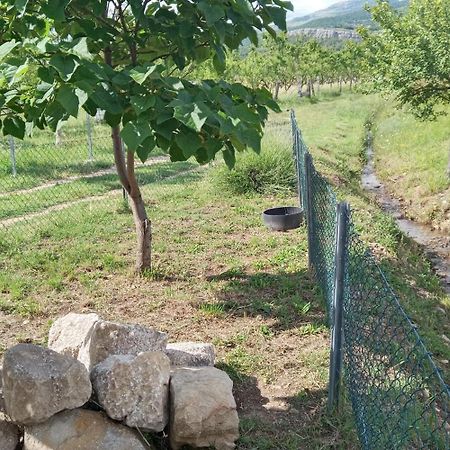 Stone House Vlasta Drniš Exteriör bild