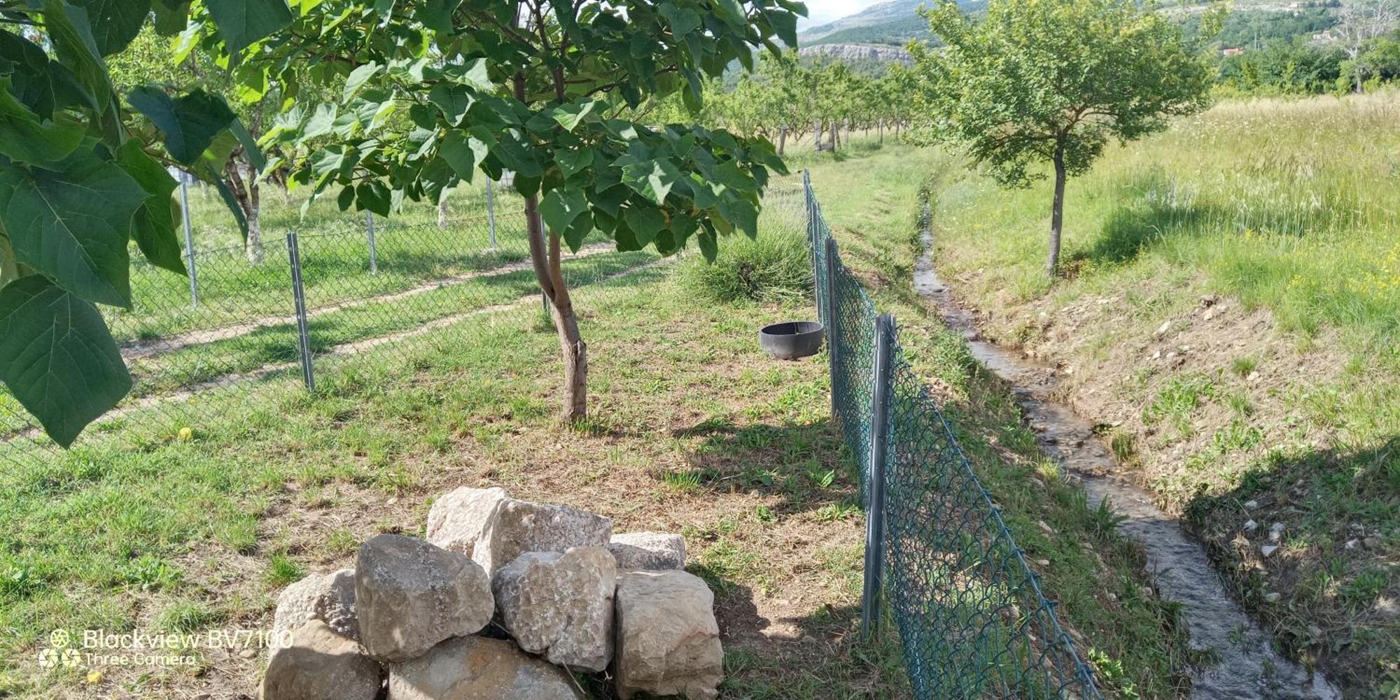 Stone House Vlasta Drniš Exteriör bild